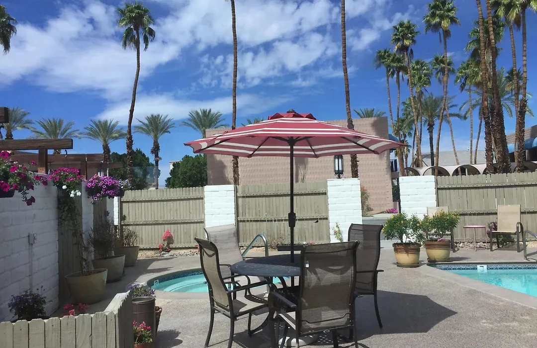 Palms-1